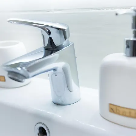 Pavel's Тимишоара