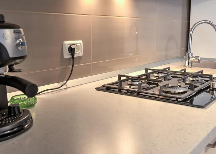 Lejlighed Pavel's Timişoara